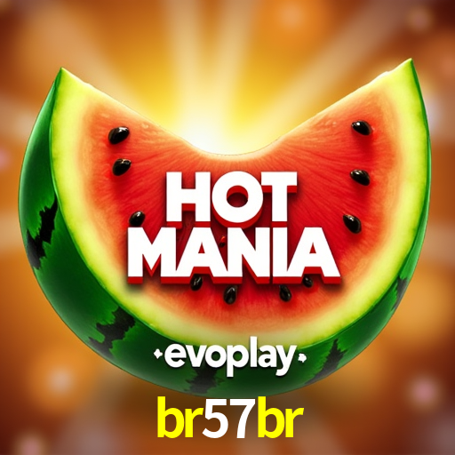 Security Systems br57br